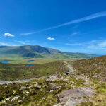 virtual-animation-dingle-brings-irelands-leading-animation-festival-to-the-world