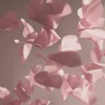 hortensia-x-moooi-brand-film-by-reisinger-studio