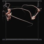 oceta-audio-cg-experiment-and-nft-by-korb-and-echolab