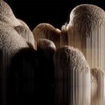 dunes-short-film-by-simon-holmedal
