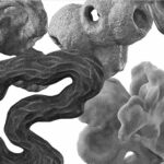 Blossoming at Annecy mountain-and-sea-short-film-by-seouls-studiotdl
