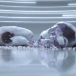 synced-short-film-by-fabian-aerts