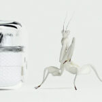 nothing-techno-ballet-by-swiss-international