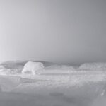 nomint-creates-chilling-spot-for-wwfs-arctic-programme
