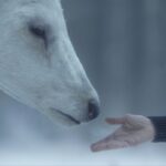 framestore-goes-on-the-hunt-in-dexter-new-blood