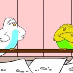 the-parakeets-season-2-now-on-youtube