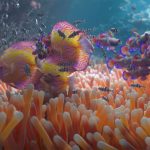 tyflow-fish-schools-rd-compilation-by-krzysztof-hrycak
