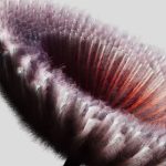 selected-femme-certified-mohair-product-film-by-sub