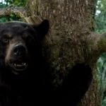robin-hollander-talks-cocaine-bear-weta-fxs-new-favorite-project