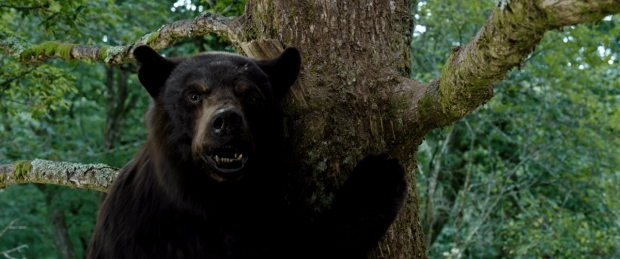 Robin Hollander Talks ‘Cocaine Bear,’ Wētā FX’s New Favorite Project