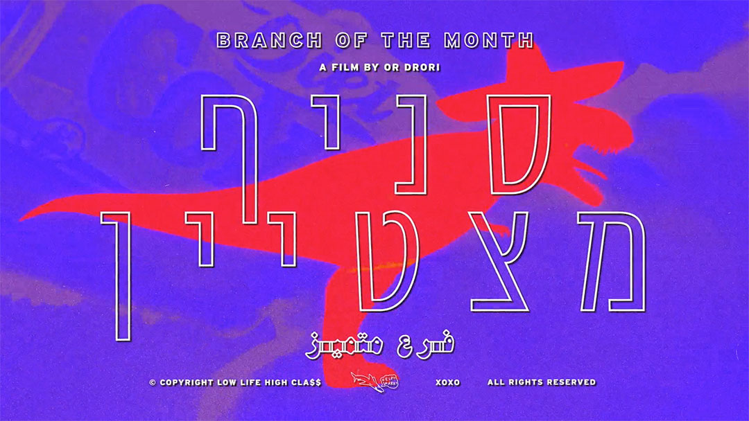 Branch of the Month Short Film by Or Drori | STASH MAGAZINE